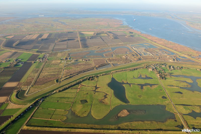 Hedwige- en Prosperpolder