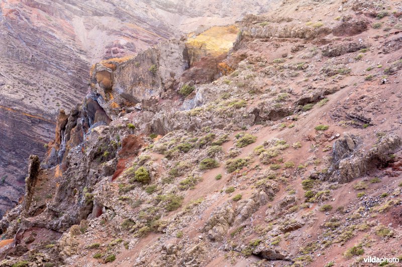 Caldera de Taburiente Nationaal Park