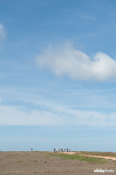 Vogelaars op een heuveltop