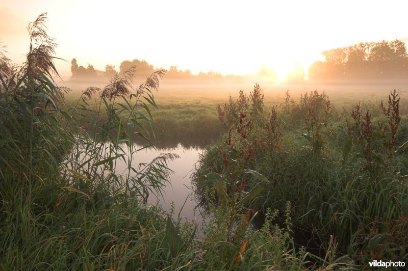 Zonsopgang boven de Assels