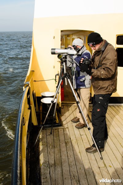 Vogelaars tellen vogels op het IJsselmeer.