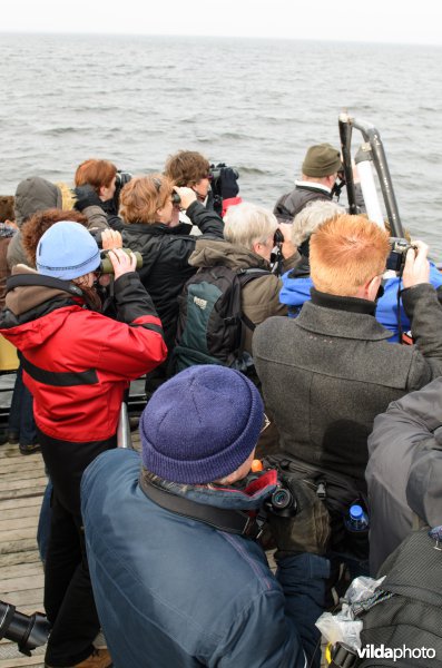 Vogelaars kijken naar vogels op het IJsselmeer. Hier overwinteren jaarlijks tienduizenden vogels.