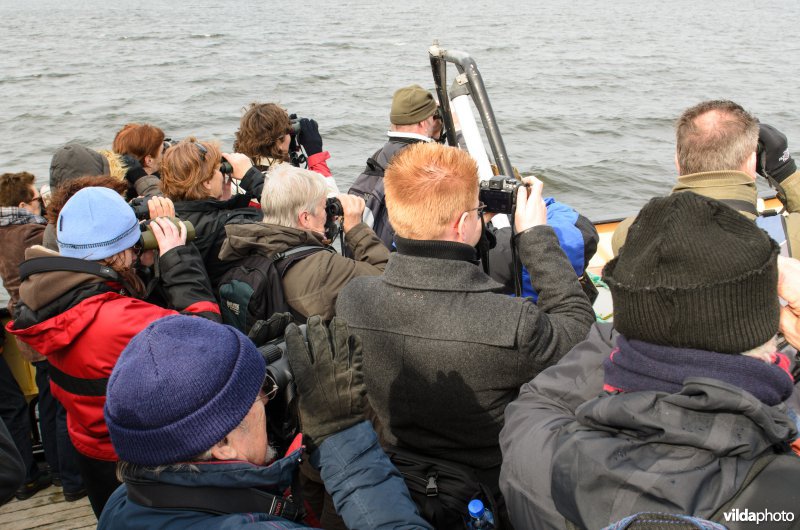 Vogelaars kijken naar vogels op het IJsselmeer. Hier overwinteren jaarlijks tienduizenden vogels.