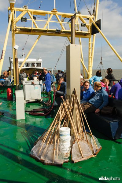 Toeristen op een excursie op de Waddenzee