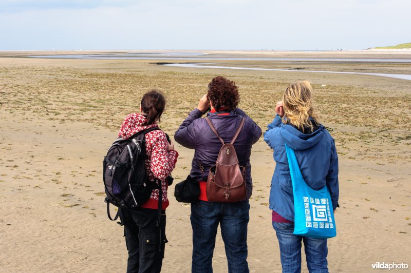 Vogels kijken in de Sluftervalei