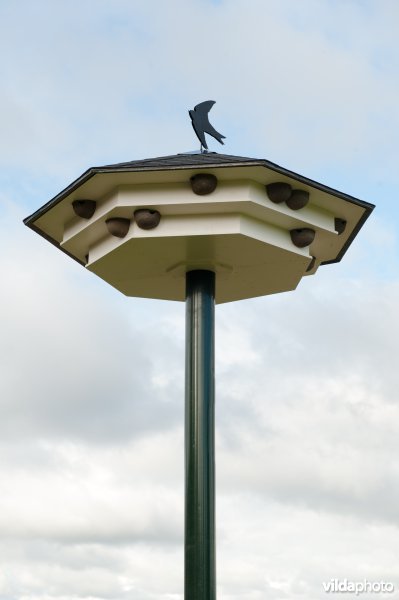 Plaatsing van een huiszwaluwtil in Brummen