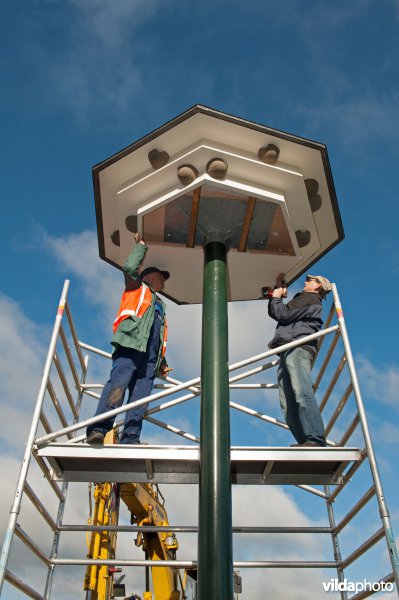 Plaatsing van een huiszwaluwtil in Brummen