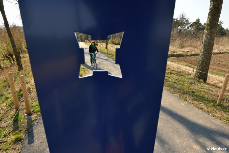 Fietsen op de Koningsdijk