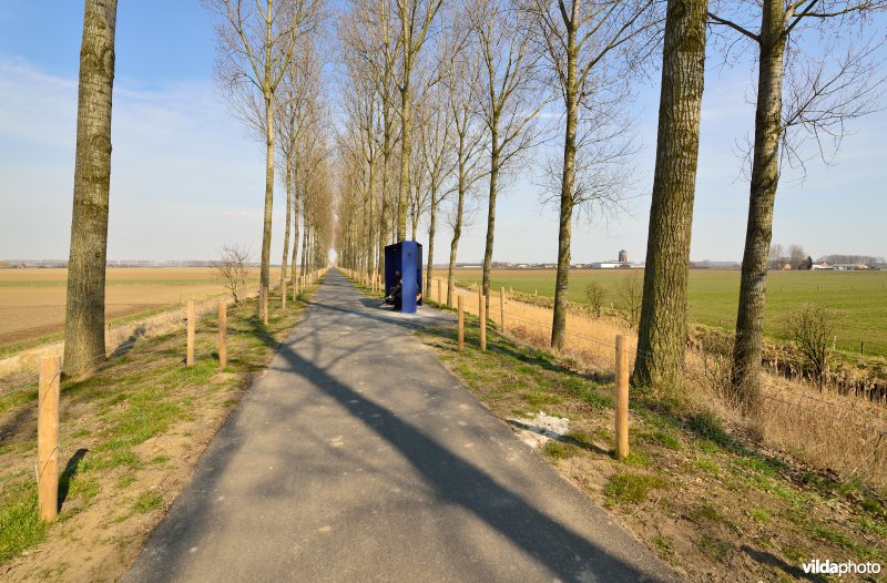 Koningsdijk