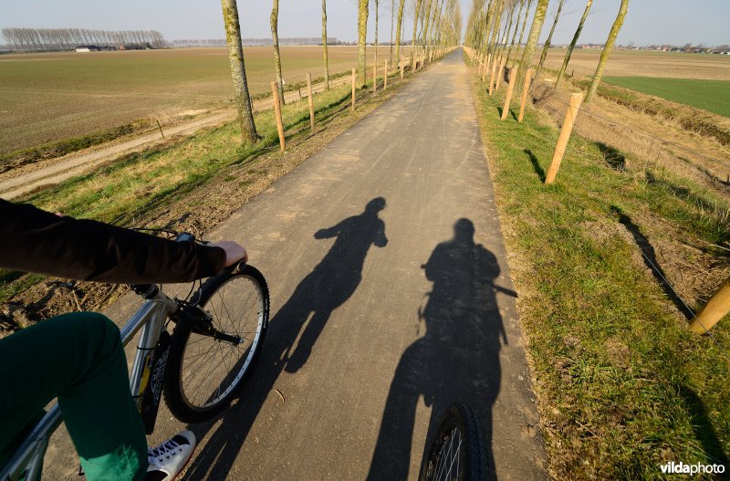 Fietsen op de Koningsdijk