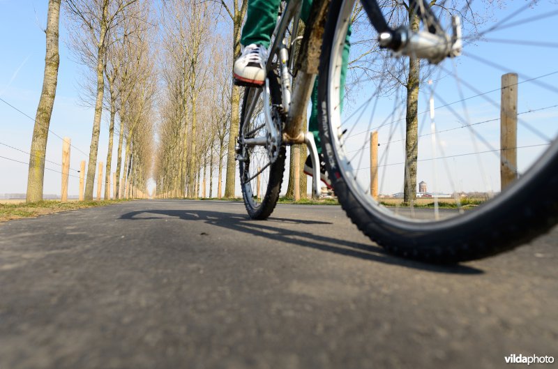 Fietsen op de Koningsdijk