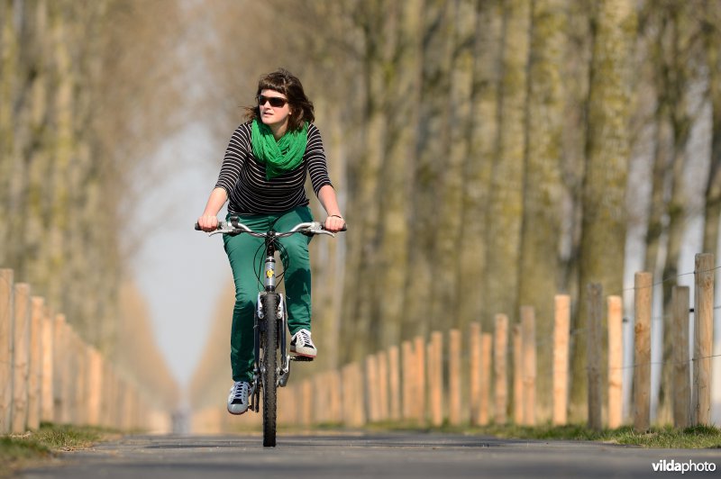Fietsen op de Koningsdijk