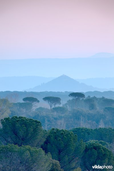 Zonsopgang in de Provence