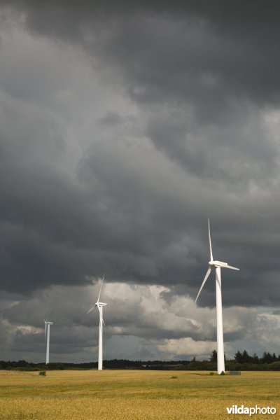 Windturbines onder een dreigende lucht