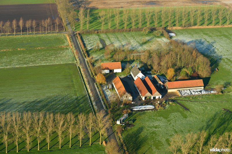 Boerderij