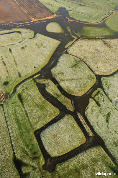 Polders rond Damme