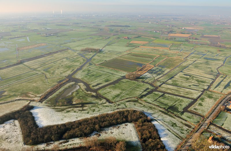 Polders rond Damme