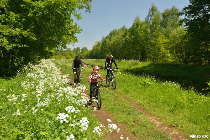 Fietsen langs de Grote Nete