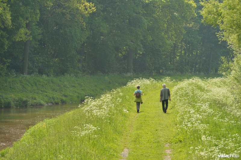 Wandelen langs de Grote Nete