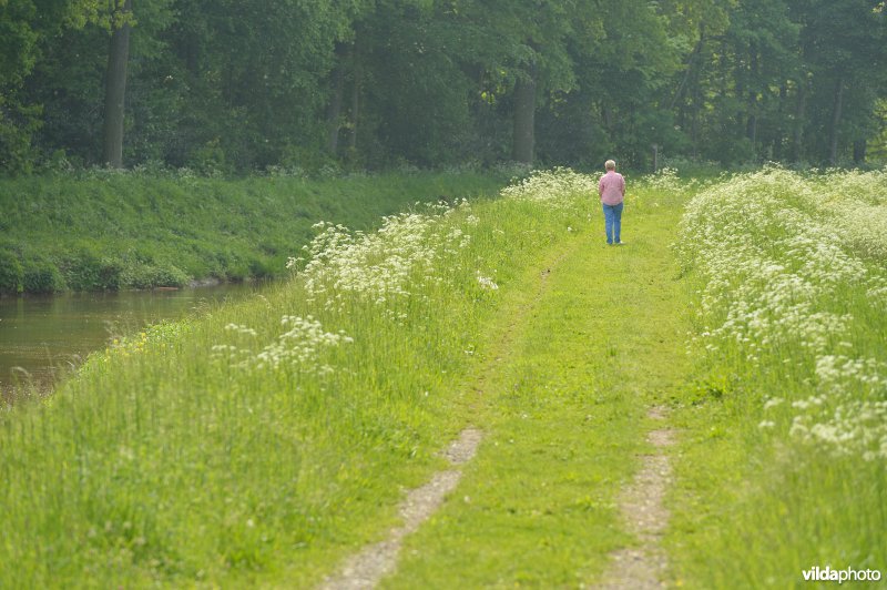 Grote Nete