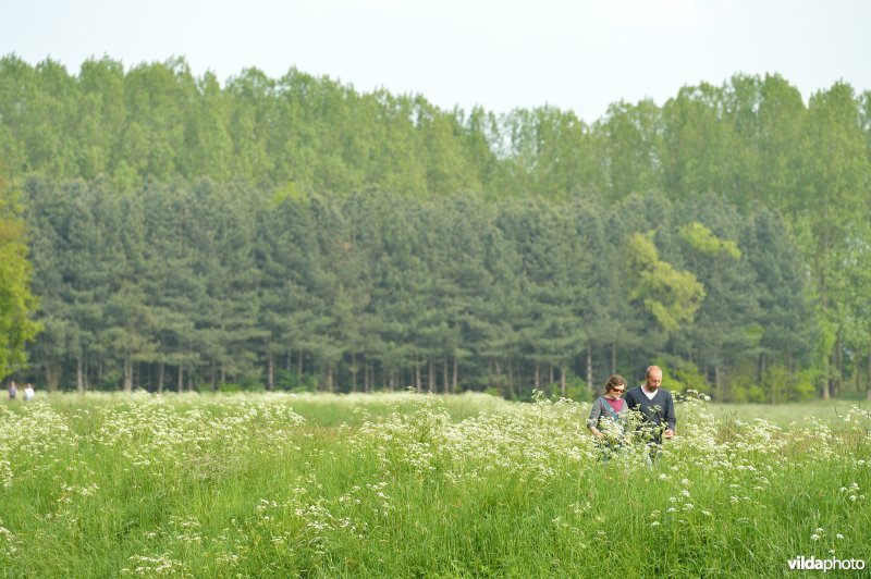 Grote Nete