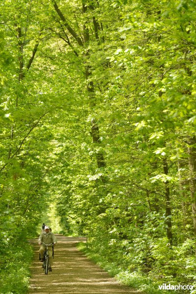 De Herenbossen