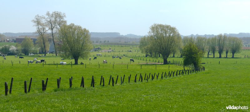 Landbouwbeeld uit het Pajottenland
