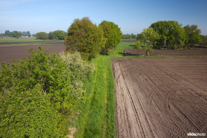 Limburgs bocagelandschap