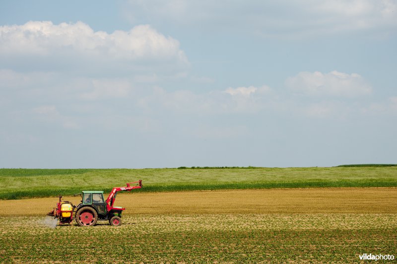 Tractor spuit pesticiden op een akker