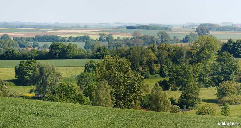 Mozaïeklandschap