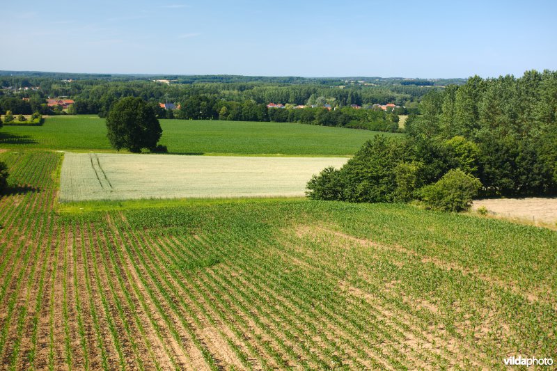 Gevarieerd landbouwlandschap