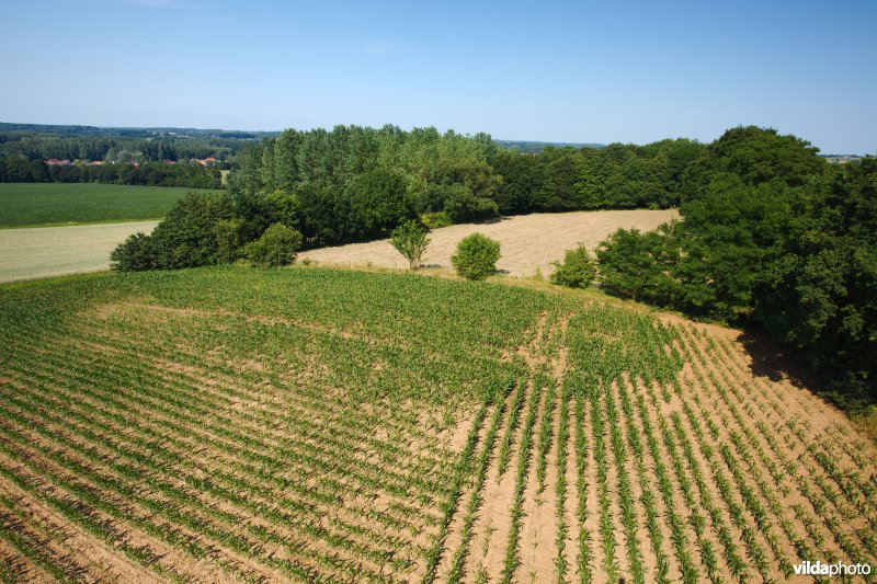 Gevarieerd landbouwlandschap