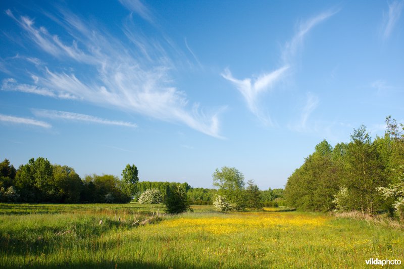 Reliëfrijk grasland