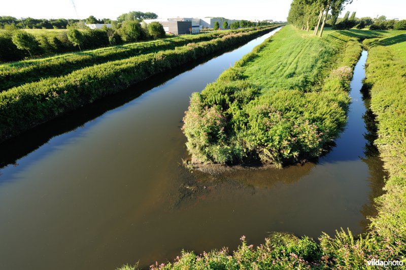 Nieuwe en Oude Zenne in het Dorent