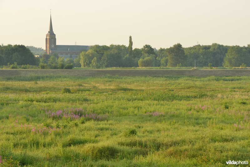 Grote vijver Noord