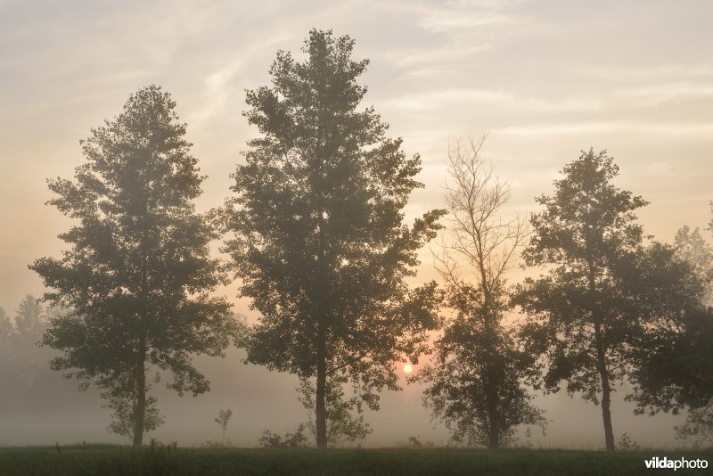 Vallei van de Grote Nete