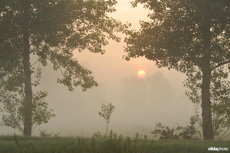 Vallei van de Grote Nete