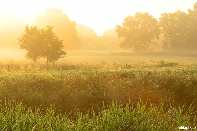 Vallei van de Grote Nete