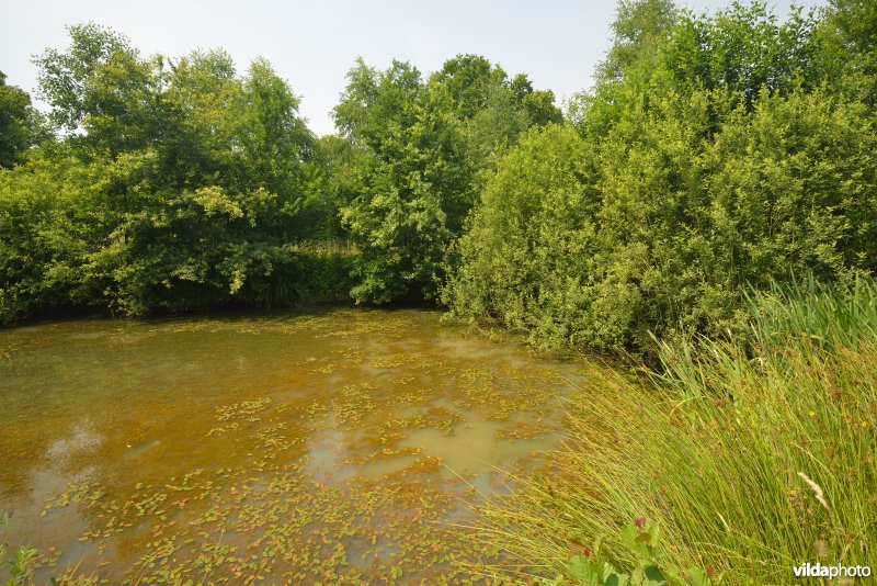 Natuurreservaat Zammelsbroek