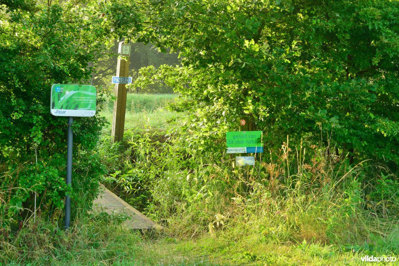 Natuurreservaat langs de Grote Nete