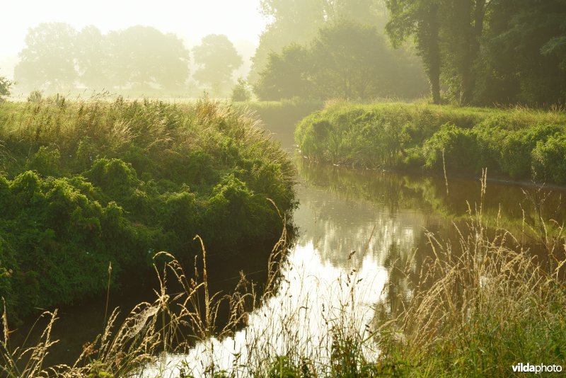 Grote Nete