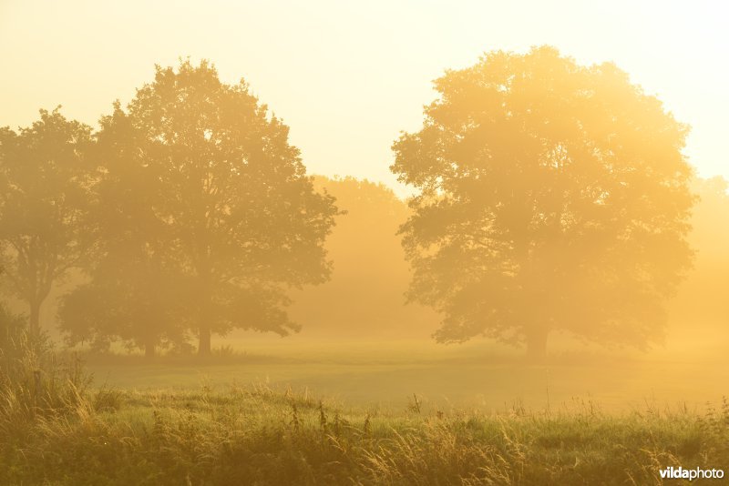 Vallei van de Grote Nete