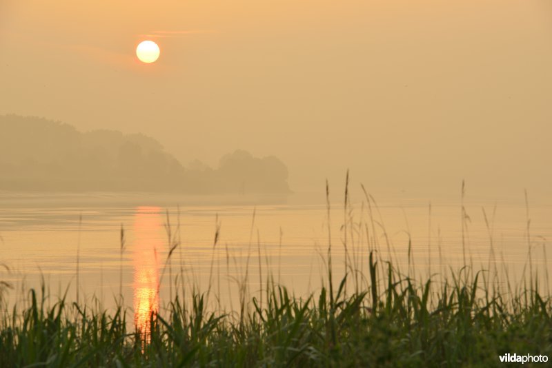Schelde