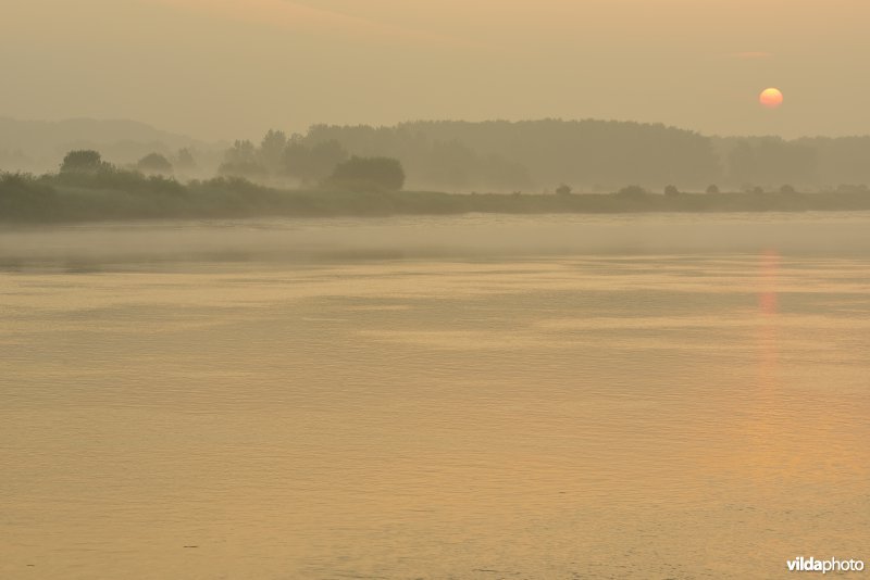Schelde