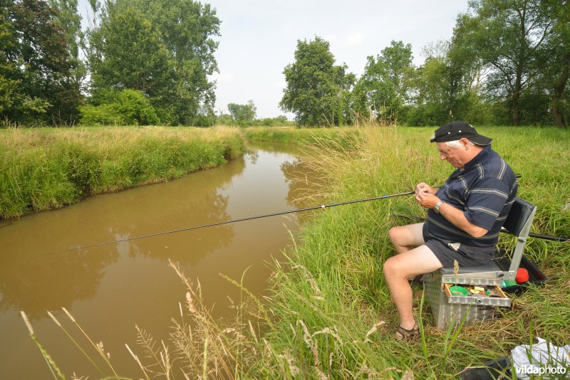 Visser aan de Grote Nete