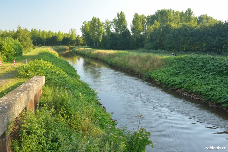 Grote Nete