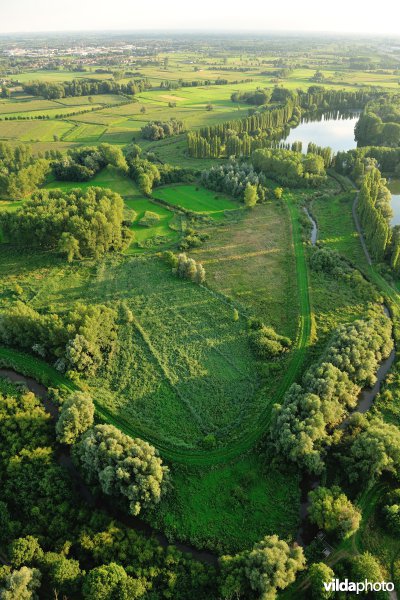 Bulbierbroek