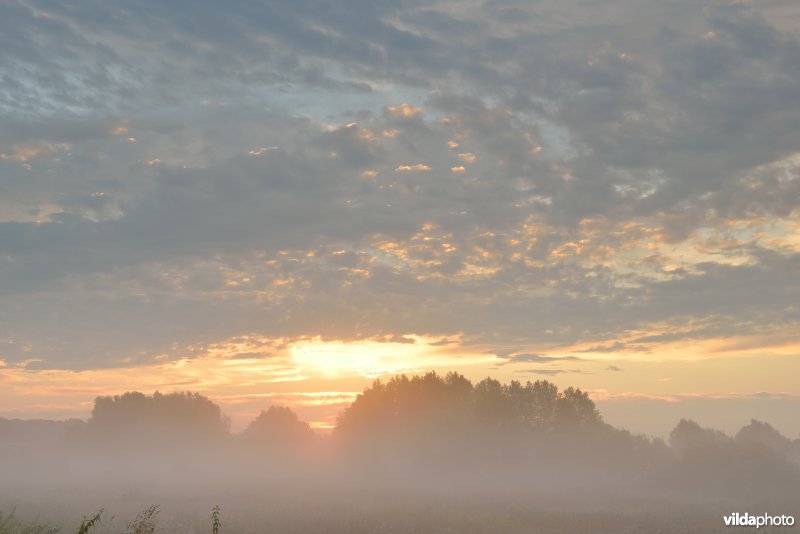 Bulbierbroek