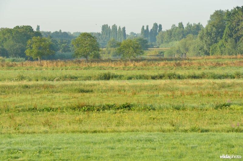 Weijmeerbroek