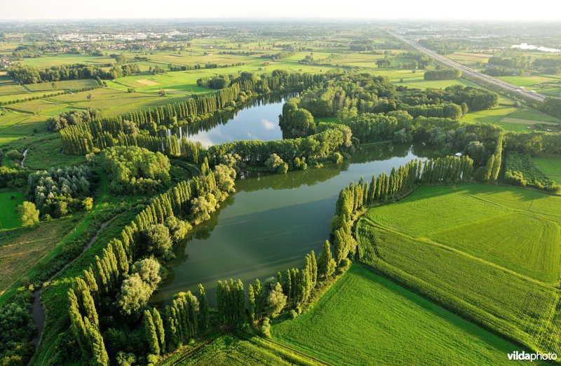 Hof te Rijen